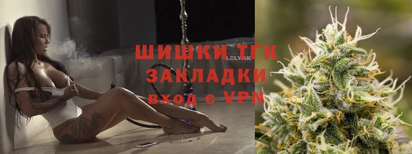 шишки Куйбышев
