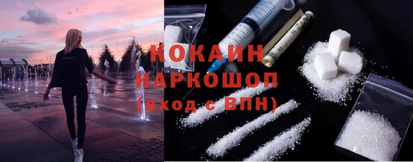 дурь Магас