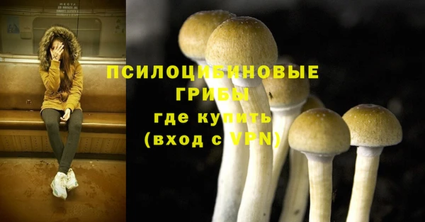 спиды Гусиноозёрск