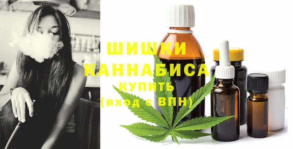 дурь Магас