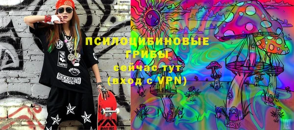 МДПВ Медногорск
