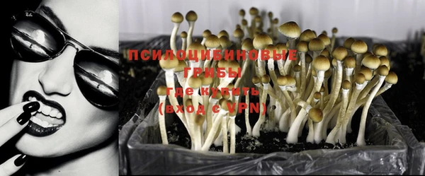 марки nbome Магадан