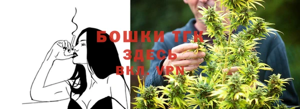 МДПВ Медногорск