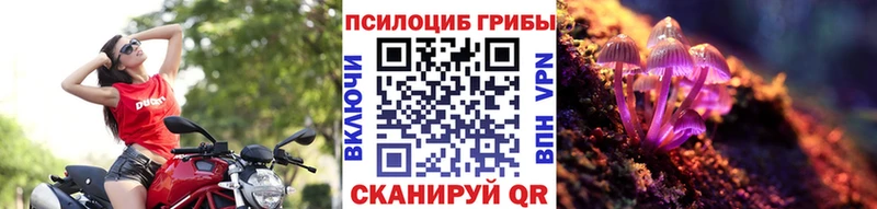 где продают   Усолье  Псилоцибиновые грибы ЛСД 
